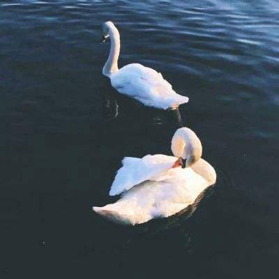 克朗代纸牌接龙